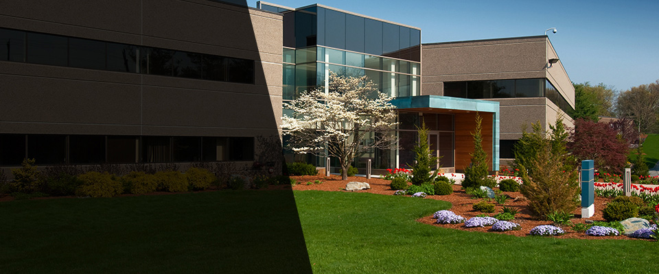 Savoy Landscapers
