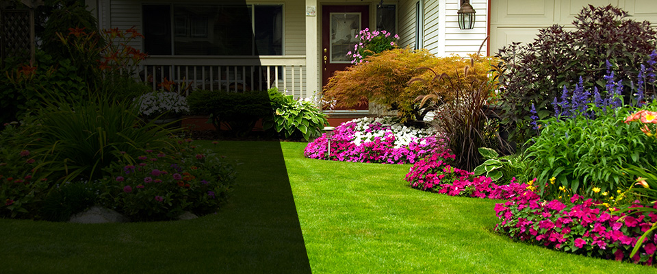 Savoy Landscapers