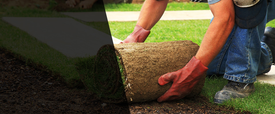 Savoy Landscapers